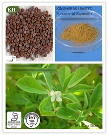 Fenugreek Seed Extract Furostanol Saponins 50%